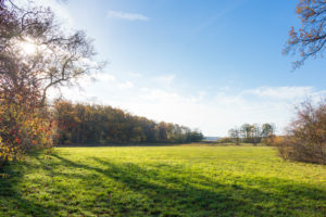 Berlin, Wannsee, Pfaueninsel, Wiese im Herbstlicht Berlin, Wannsee, Pfaueninsel, Wiese im Herbstlicht